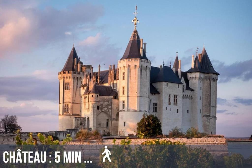 Grand Appartement Place Saint-Pierre, Proche Chateau De Saumur Et Bord De Loire" Kültér fotó